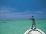 545185-FB~Bone-Fishing-Grand-Cayman-Posters